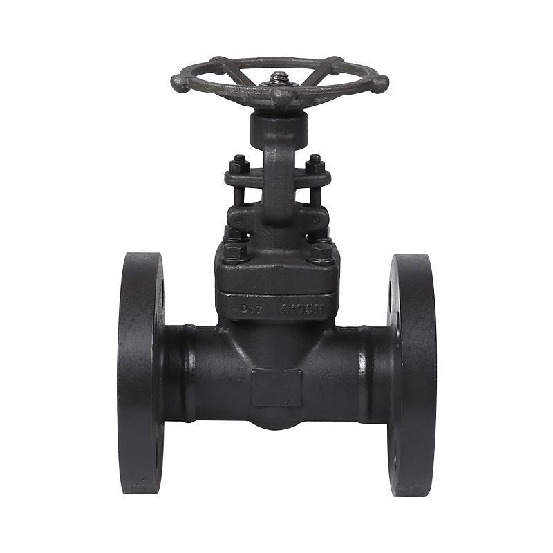 Forged steel flange gate valve