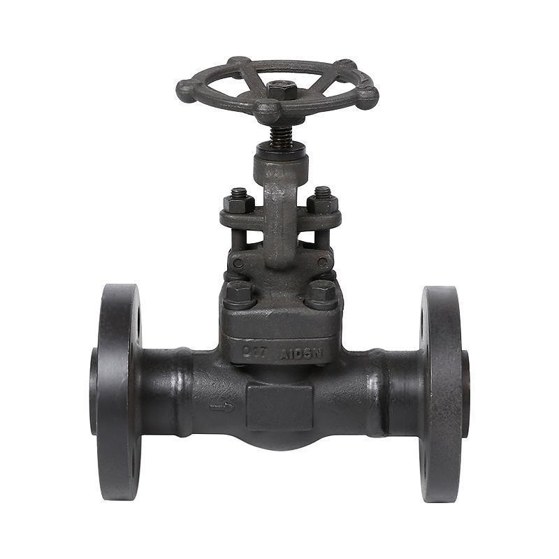 American Standard Forged Steel Globe Valve