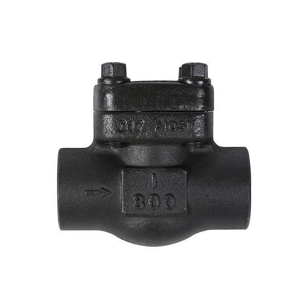 Socket welding connection check valve